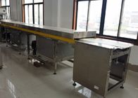 16 KW Chocolate Bar Production Line , Chocolate Coating Machine For Cereal Bar